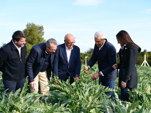 Acto del Corte de la Alcachofa en Daya Nueva