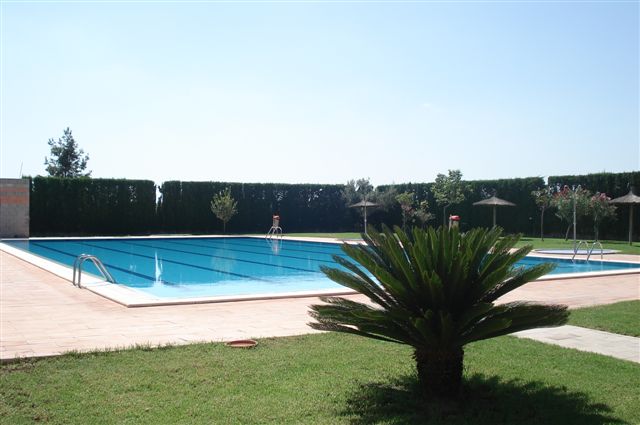 Piscina Municipal - Daya Nueva