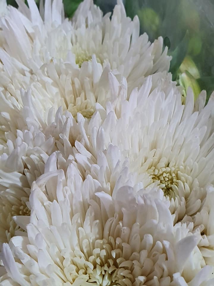 Imagen del establecimiento