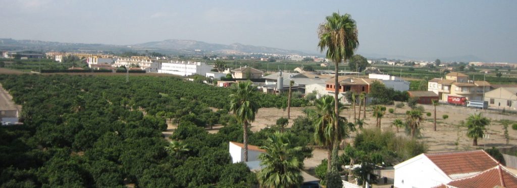 Ayuntamiento de Daya Nueva - Panorámica